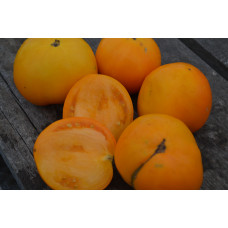 Семена помидоров Апельсин Никовиотиса (Nicoviotis Orange)