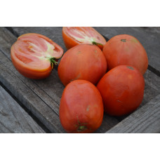 Семена помидоров Бифштекс Альби (Beefsteak Albi)