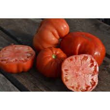 Семена помидоров Большие от Реми(Grosses de Remy)