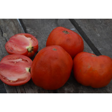 Семена помидоров Бугай минусинский
