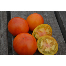 Семена помидоров Драгоценный камень краснеющий (Red Topped Gem)