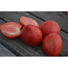 Семена помидоров Фамильная реликвия Консельма (Cancelmo Family Heirloom)