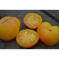 Семена помидоров Гном Сладкая сью(Dwarf Sweet Sue)