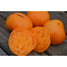 Семена помидоров Минусинский оранжевый крупный