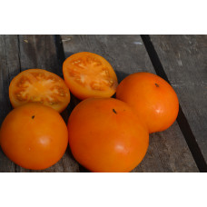 Семена помидоров Оранжевый гигант