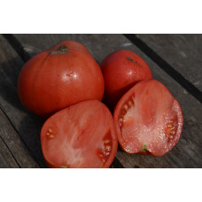 Семена помидоров Севрюга
