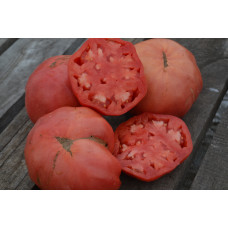 Семена помидоров Восхитительный Хой (Hoy Delicious )