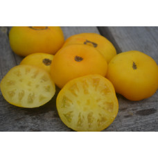 Томат Гном Жёлтый жасмин (Dwarf Jasmine yellow)