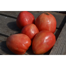 Семена помидоров Знаменитая клубника миссис Шлаубах