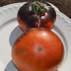 Семена помидоров Красный уголь