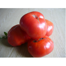 Семена помидоров Топол