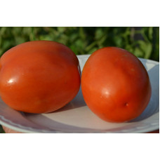 Семена помидоров Турецкая слива